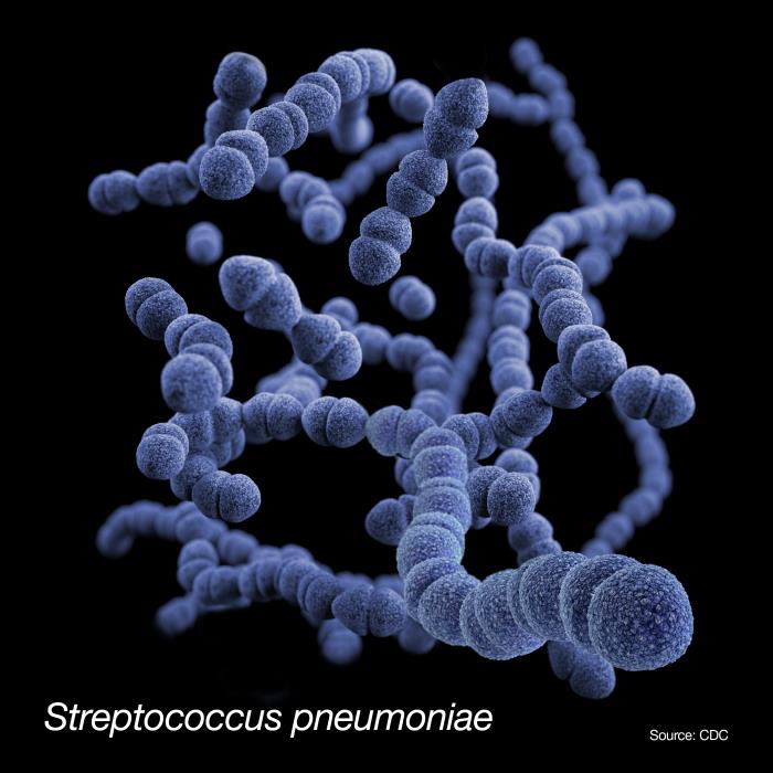 Pneumococcal Diseases